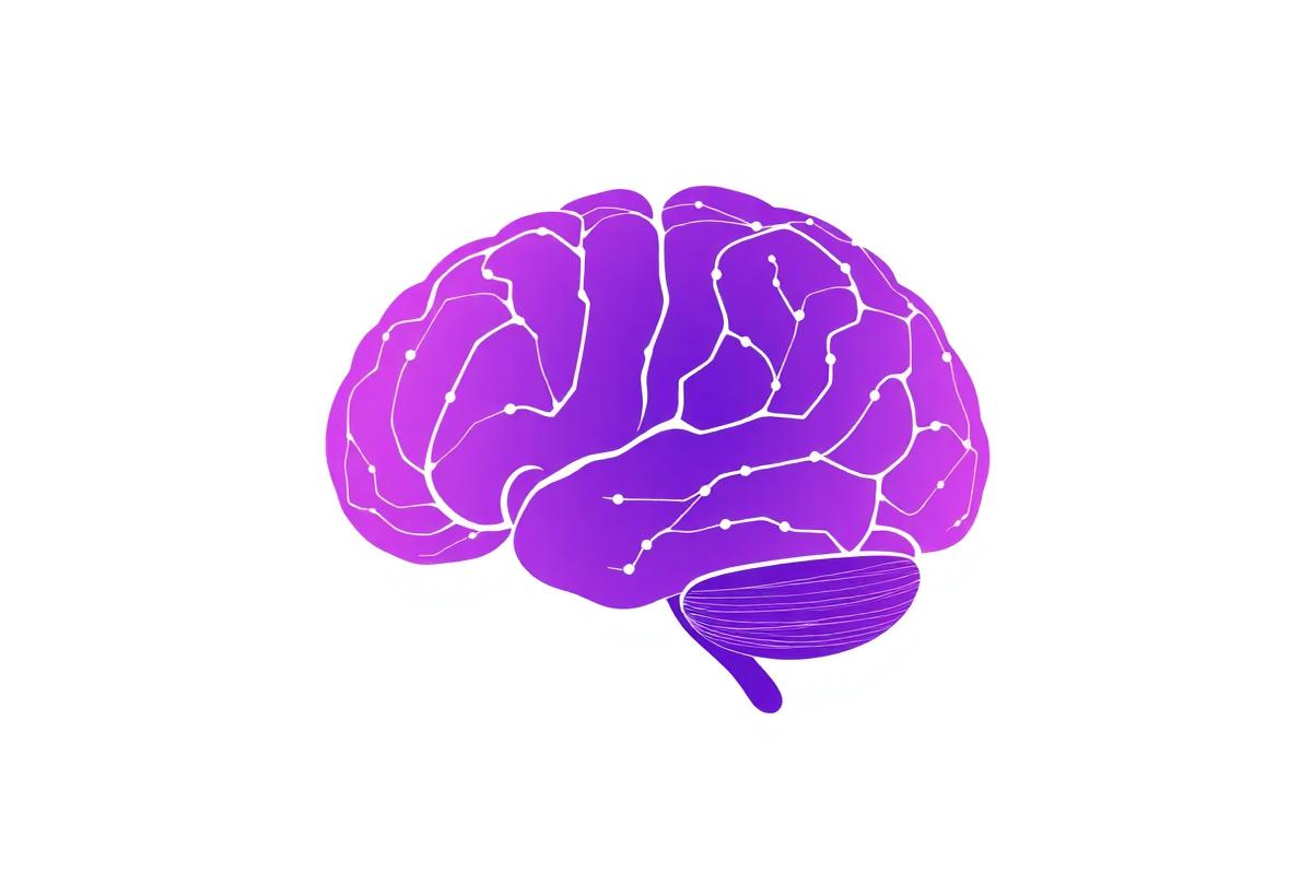 Cómo el cerebro decide una compra en menos de 3 segundos